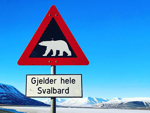 Polar bear warning sign, seen at around midnight in June
