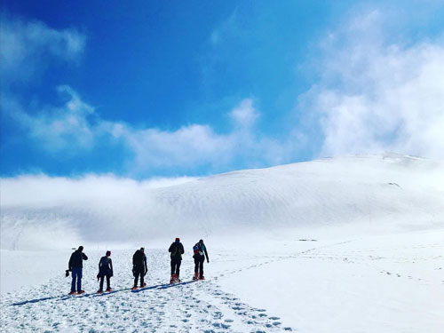 Walking in the snow